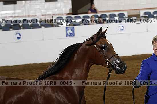 Proof 10r9_0045