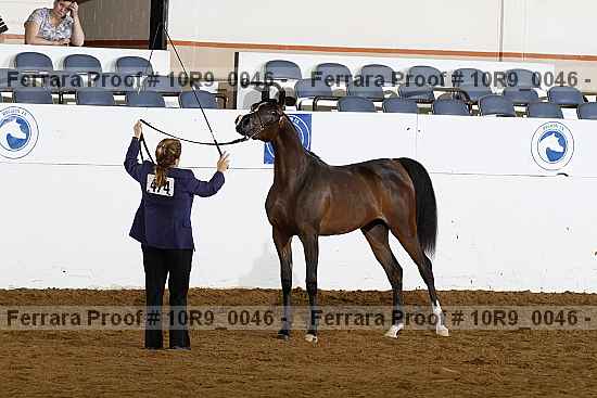 Proof 10r9_0046