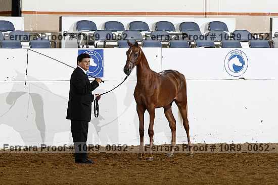Proof 10r9_0052