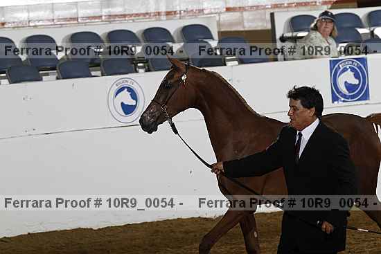 Proof 10r9_0054