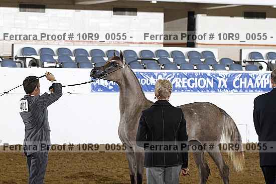 Proof 10r9_0055