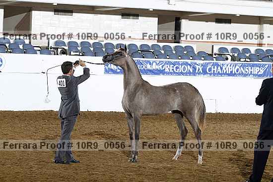 Proof 10r9_0056