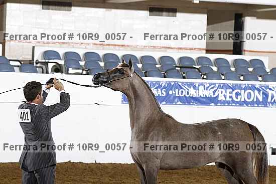 Proof 10r9_0057