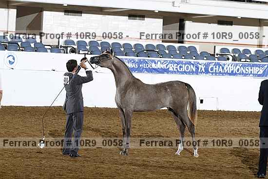 Proof 10r9_0058