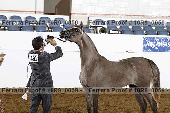 Proof 10r9_0059