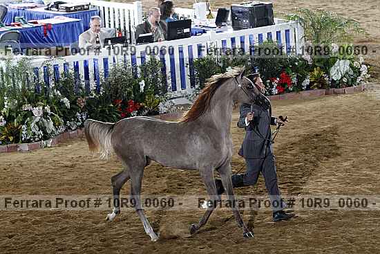 Proof 10r9_0060