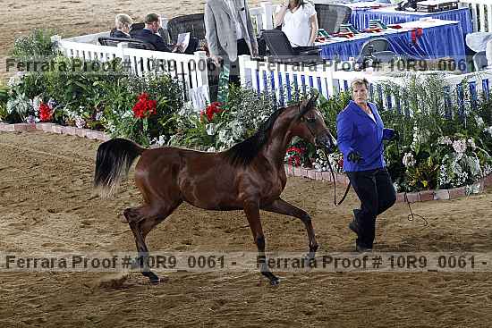 Proof 10r9_0061