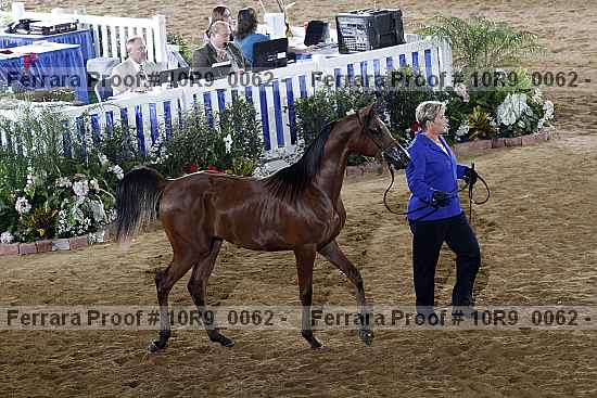 Proof 10r9_0062
