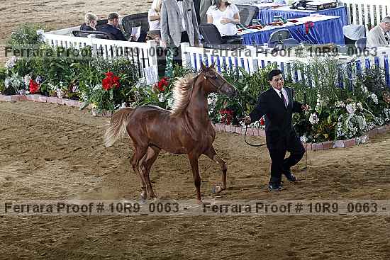 Proof 10r9_0063