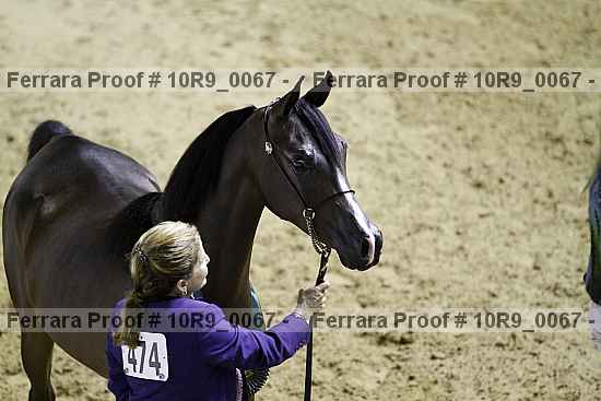Proof 10r9_0067
