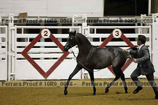Proof 10r9_0068