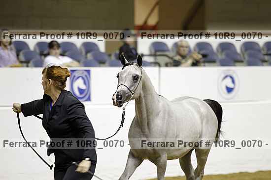 Proof 10r9_0070