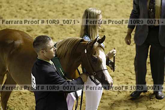 Proof 10r9_0071