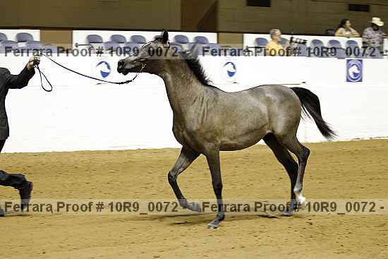 Proof 10r9_0072