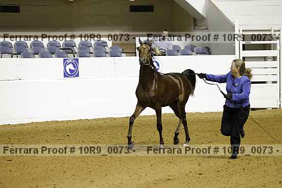 Proof 10r9_0073