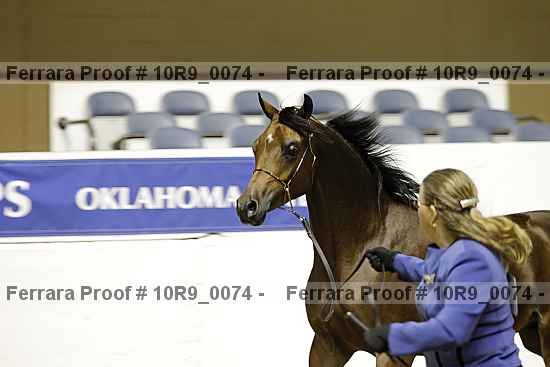 Proof 10r9_0074