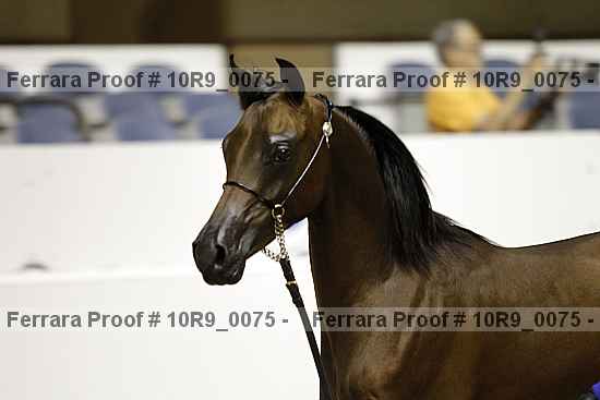 Proof 10r9_0075