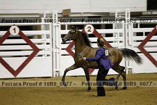 Proof 10r9_0077