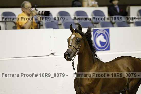 Proof 10r9_0079