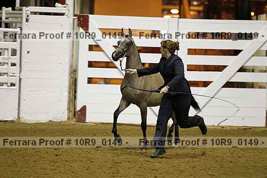 Proof 10r9_0149