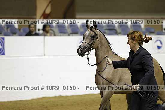 Proof 10r9_0150