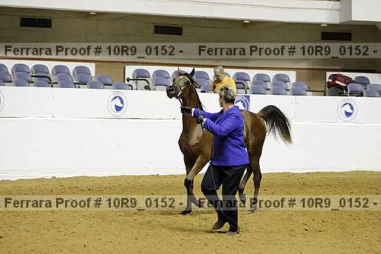 Proof 10r9_0152