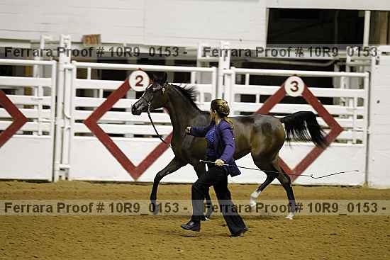 Proof 10r9_0153