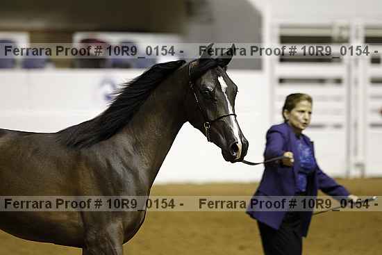 Proof 10r9_0154