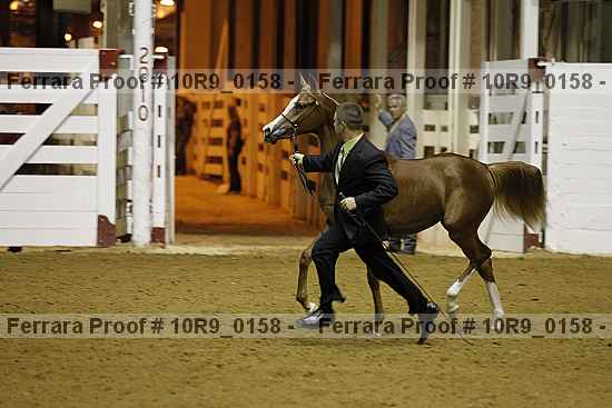 Proof 10r9_0158