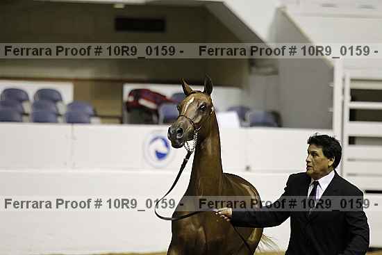 Proof 10r9_0159