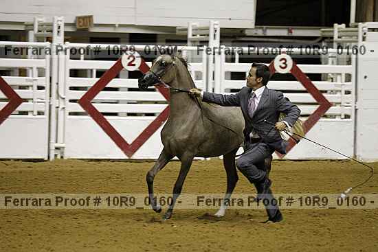 Proof 10r9_0160