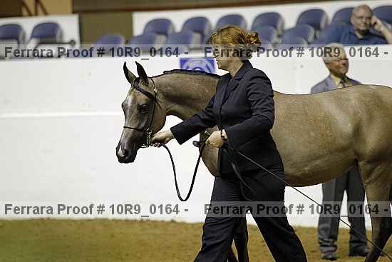 Proof 10r9_0164
