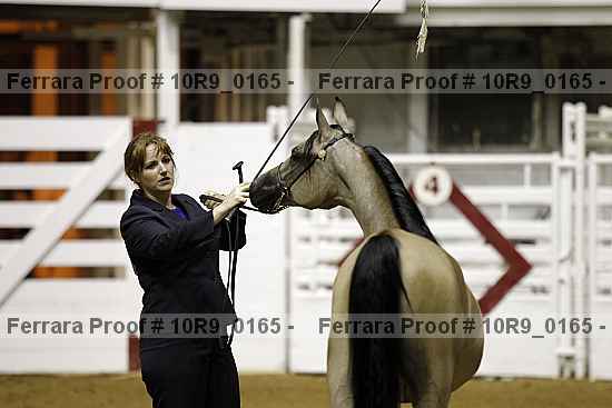 Proof 10r9_0165