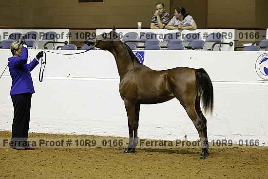 Proof 10r9_0166