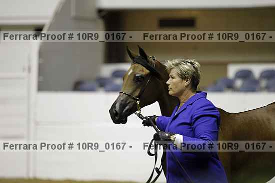 Proof 10r9_0167