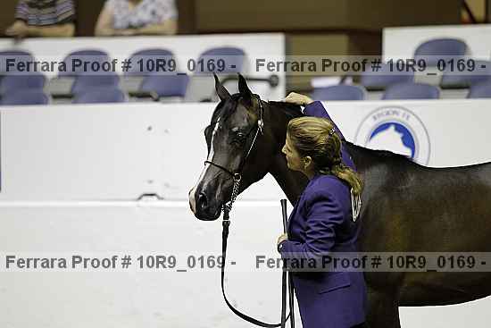 Proof 10r9_0169