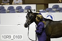 10r9_0169 proof