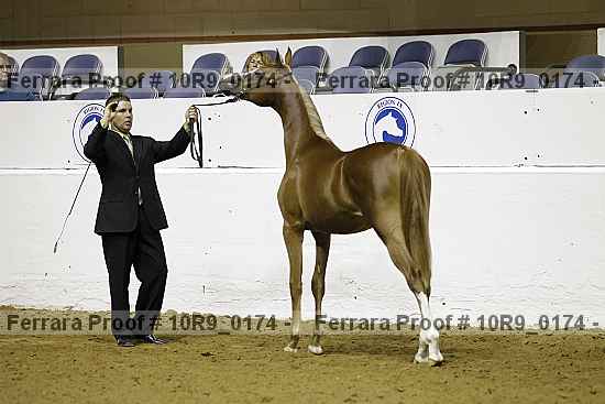 Proof 10r9_0174