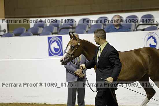 Proof 10r9_0175
