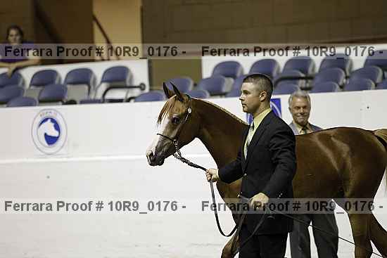 Proof 10r9_0176