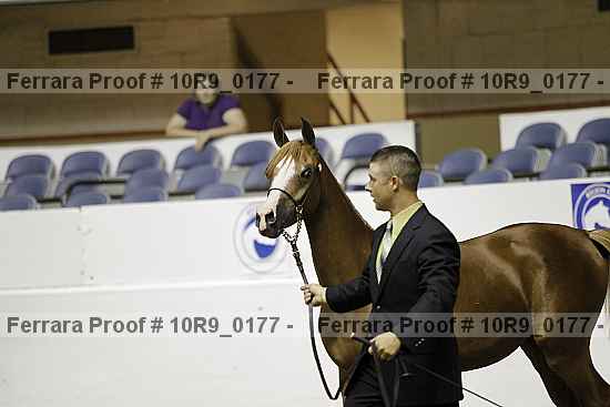 Proof 10r9_0177