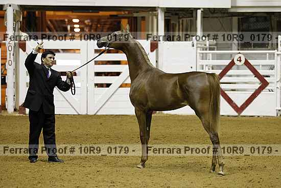 Proof 10r9_0179