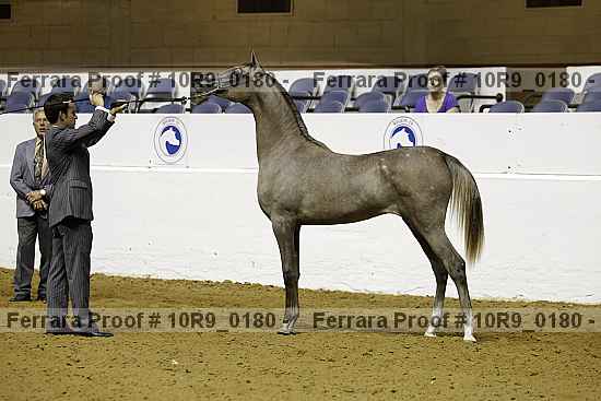 Proof 10r9_0180