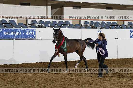 Proof 10r9_0198
