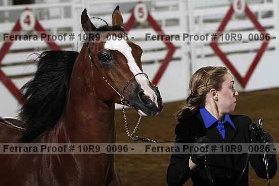 Proof 10r9_0096