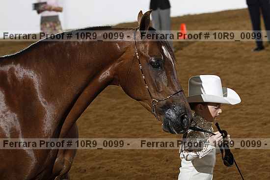 Proof 10r9_0099