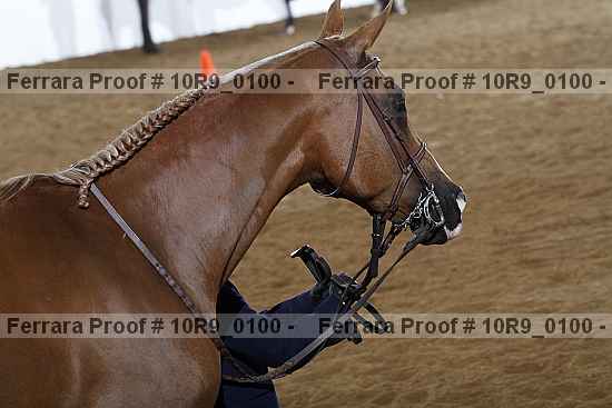 Proof 10r9_0100