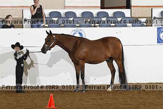 Proof 10r9_0101