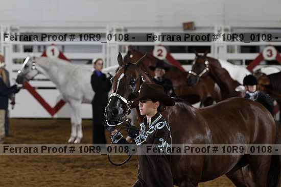 Proof 10r9_0108