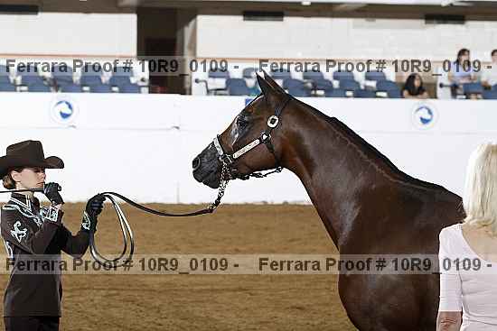 Proof 10r9_0109